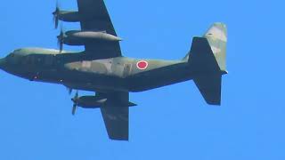 航空自衛隊Lockheed C-130 Hercules（05-1084「084」）気配を消して家のすぐ裏を通過2025年1月16日（木）【2か月ぶり】【愛知県警航空隊に協力？】