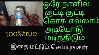 அழுகிப்போன பொருளை  தூக்கி போடாதீங்க// குட்டி குட்டி கொசு தொல்லைக்கு குட் பாய் சொல்லுங்க