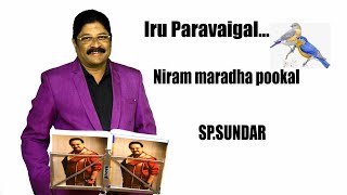 🦜🦜Iru Paravaigal ..| Niram Maradha Pookal | SP.SUNDAR | Ilayaraja.#JENCY/Radhika...DeivegaRaagangal