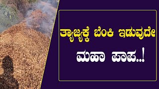 ಅಡಿಕೆ ಸಿಪ್ಪೆ ಸುಡುವುದು ಲಕ್ಷ್ಮಿಯನ್ನೇ ಸುಟ್ಟಂತೆ..!