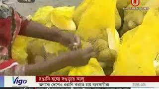 বগুড়ার আলু রপ্তানি হচ্ছে বিদেশে