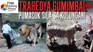 Mga Aksidente Naganap sa Loob ng Zoo! Scary Moments in Zoo