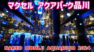 【東京】マクセル アクアパーク品川 ～NAKED MOMIJI AQUARIUM～2024 -水族館,アクセス,イベント,インスタ映え,混雑,-Maxell Aqua Park Shinagawa