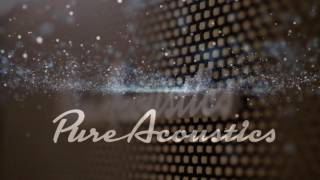 PURE ACOUSTICS The top 10 greatest speakers