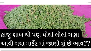 લીલા ચણા નુ શાક || Lila Chana Nu Sakh || કાજુ થી મોઘાં લીલા ચણા માર્કેટ માં આવી ગયા