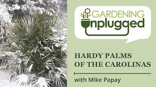 Gardening Unplugged - Hardy Palms of the Carolinas with Mike Papay