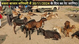 बकरा बाजार शनिचरी में 30/11/2024 के दिन का रेट जानिए।