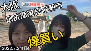 一色さかな村もいいけど、関西人は田尻漁港