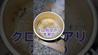 【衝撃】アリを食べてみた結果… #Shorts