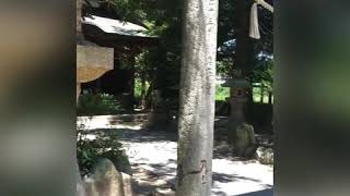 2020.7.石戸神社さん(神戸市西区)