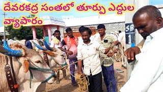 దేవరకద్ర సంతకి చెన్నారెడ్డి పల్లి రైతు మొగులప్పగారు తెచ్చిన తూర్పు ఎద్దుల బేరం ఎలా నడుస్తుందో చూడండి