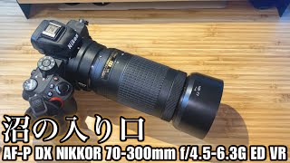 【雑談】野鳥超軽量セットは沼の入り口 - Z50 × AF-P DX NIKKOR 70-300mm f/4.5-6.3G ED VR -