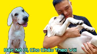 Súp Lơ muốn cùng Nô về Hải Phòng thăm bố Cải mẹ Chi? | My puppy doesn't want to leave me