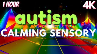 Autism Sensory Therapy Meltdown Remedy Soothing Visuals