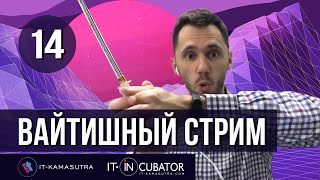 14. Вайтишный стрим - как стать программистом