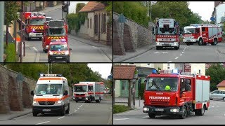 [Grenzüberschreitende Übung] Großübung der FW VG Bad Bergzabern und der Feuerwehr Frankreich