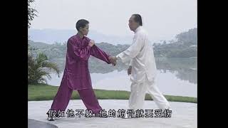 張希貴 Zhang Xigui - 形意拳傳統套路 Traditional Xingyiquan 6 - 渾元散手拳實用技擊 Practical Combat Skills of Hunyuan Sa