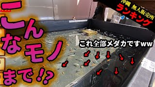 #41.進化する沖縄のセルフ販売所ランキング２☆