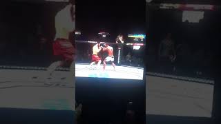 Ислам Махачев потерпел сокрушительный НОКАУТ от Боби Грина UFC FIGHT NIGHT TOP MMA