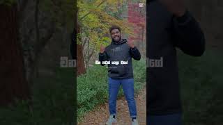 Me Ahasata Polawen Naginne Eka Dumarayai Miyura Sulochana Mp3 Music ...