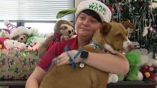 Pet adoption events helping people through holiday season