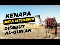 Keistimewaan Unta sampai disebut dalam Al QUR'AN #unta #kebunbinatang