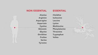 2.15 -අත්‍යවශ්‍ය හා අත්‍යවශ්‍ය නොවන  ඇමයිනෝ අම්ල - Essential and non-essential amino acids -Kuppia