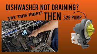 Dishwasher NOT draining??? Easy Fix!