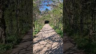 Walking in nature, see the greenery. love walking at University of Roehampton, LONDON.