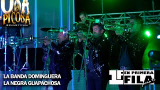 La Banda Dominguera / La Negra Guapachosa - La Picosa Hernández Banda (En Vivo 2020)