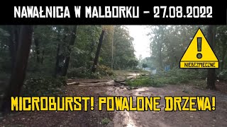 NAWAŁNICA W MALBORKU, POWALONE DRZEWA, GRAD - 27.08.2022