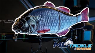 MoTackle Exclusive swimbait colour - Roach