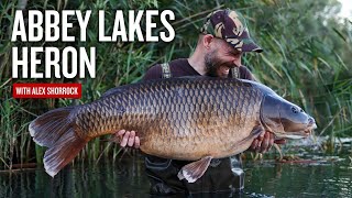 The Abbey Lakes Diaries | Heron Lake | Carp Fishing France | Big Carp Fishing