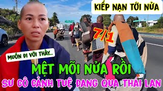 KIẾP NẠN TỚI NỬA..Sư Cô Cảnh Tuệ \