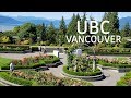 🇨🇦[4K] Beautiful Summer UBC (University of British Columbia) VANCOUVER CAMPUS