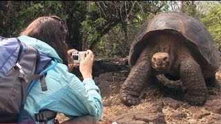 Explore The World Sweepstakes- Galapagos | Jeopardy!