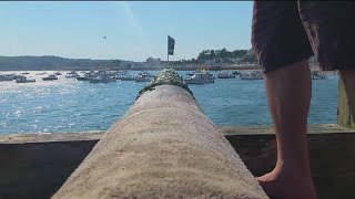 Love & Grease: The story behind Gloucester's greasy pole competition