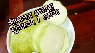 আমার বাগানের সীডলেস পেয়ারা। দুটোতেই 1 কেজি