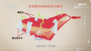 [健康之路]攒足长寿本钱（五） 脂肪| CCTV科教