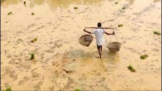 সুজলা সুফলা শস্য শ্যামলা এ আমার বাংলা, আহা কি অপরূপে আমার জন্মভূমি।