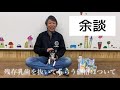 子犬の歯磨きと乳歯の話