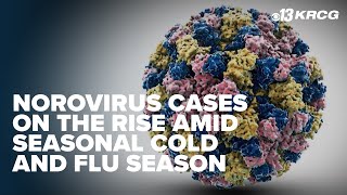 Norovirus cases on the rise amid seasonal cold and flu season