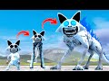 EVOLUTION OF NEW GODZILLA CATNAP MONSTER SMILING CRITTERS POPPY PLAYTIME CHAPTER 3 In Garry's Mod!