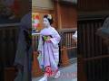 美しい舞妓さん　#kyoto #maiko #beautiful