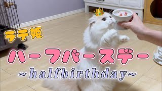 ハーフバースデーお祝いしたよ🎂