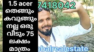 1.5 എക്കർ അടിപൊളി തെങ്ങ് കവുങ് 1200sqft വീട് #lowbudget #thakkabbalrealestate #home #cocanut #palakk