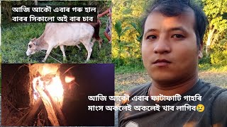 আজি আকৌ এবাৰ গৰু হাল বাবৰ সিকালো। ৰাতি অকলেই বনালো অকলে খাব লাগিব😢