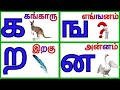 உயிர்மெய் எழுத்துக்கள் |  Uyirmei ezhuthukkal |க ங ச ஞ வரிசை எழுத்துக்கள் மற்றும் படங்கள்.