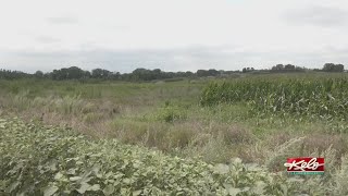 8% of the population, 40% of SD’s inmates