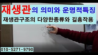 재생관의 의미와 운명적특징(재생관구조의 다양한종류와 길흉작용)